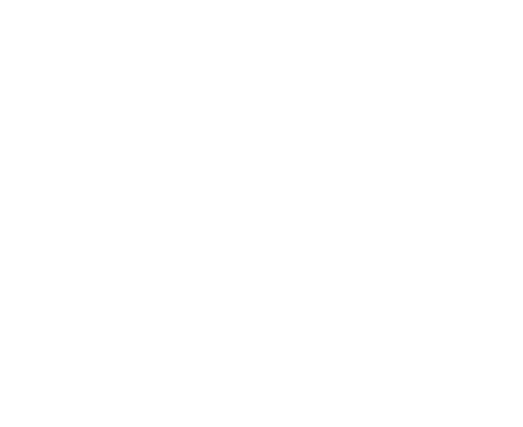 lesdys.fr