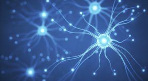 Les avancées récentes en neuroéducation : comprendre pour mieux accompagner les enfants DYS