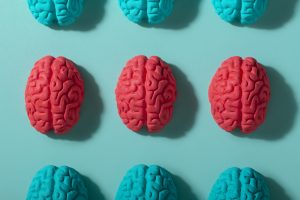 Dyslexie : ce que la science révèle sur la capacité du cerveau à s’adapter