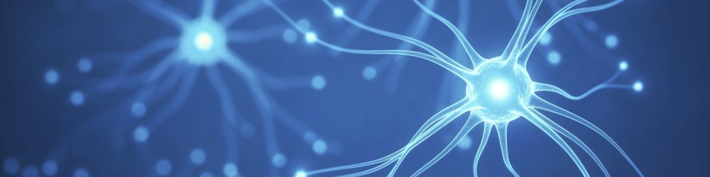 Les avancées récentes en neuroéducation : comprendre pour mieux accompagner les enfants DYS