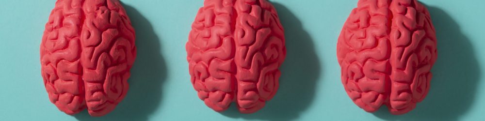 Dyslexie : ce que la science révèle sur la capacité du cerveau à s’adapter